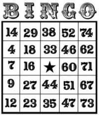 bingo-75-boules